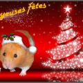 Noel des Hamsters
